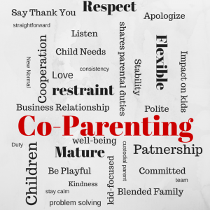 Co-parenting workshop